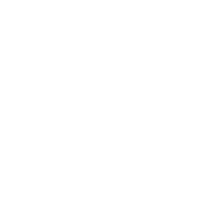 Partnership Icon