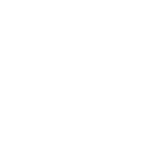 Discipline Icon